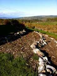 View North from Front Garden